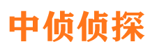 魏都市私家侦探